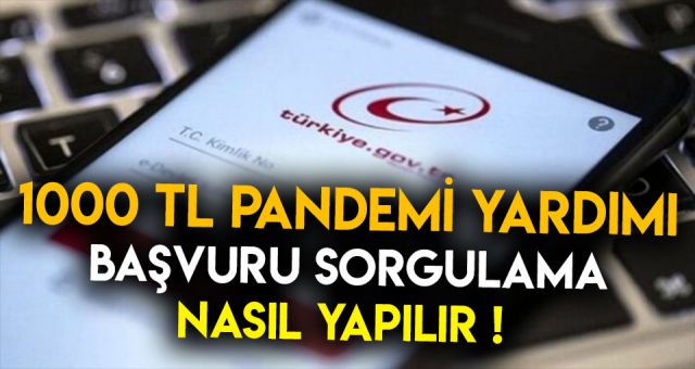 Pandemi Başvuru Sonucu Sorgulama 2020