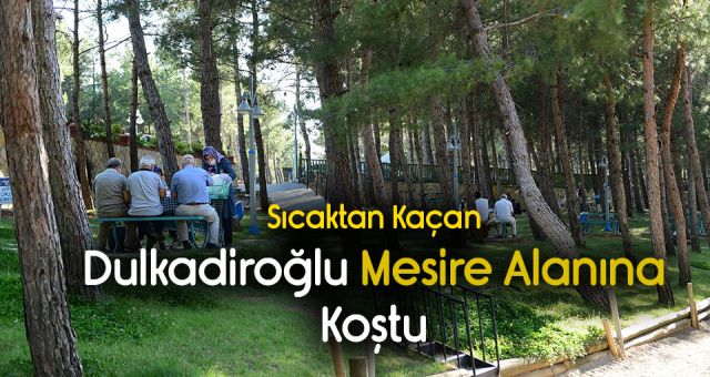 Sıcaktan Kaçıp Nefes Almak İsteyen Mesire Alanına Koştu