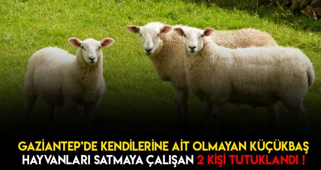 45 Bin TL Kapora Alıp Kaçtılar