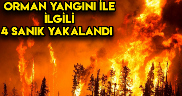 Adana'da Orman Yangınları İle İlgili 4 Kişi Gözaltına Alındı