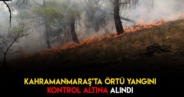 Andırın İlçesinin Ormanlık Alanında Yangın