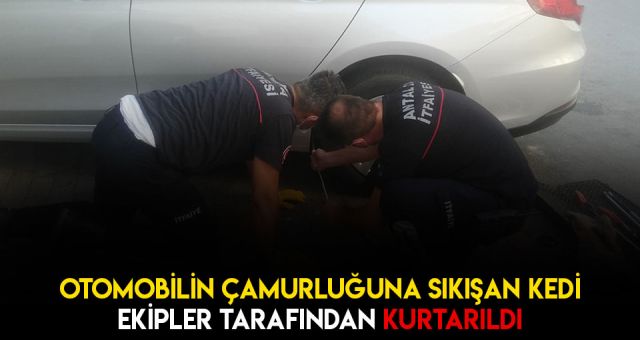 Antalya'da Sıkışan Kediyi İtfaye Ekipleri Kurtardı