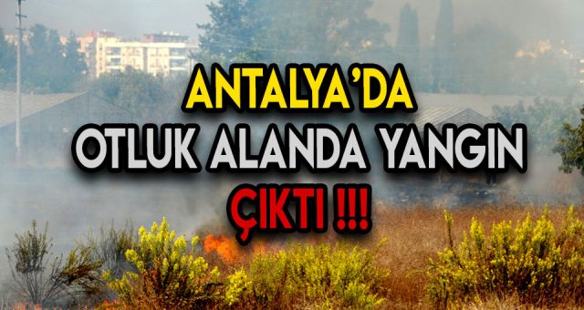 Antalya'nın Kepez İlçesinde Yangın Çıktı