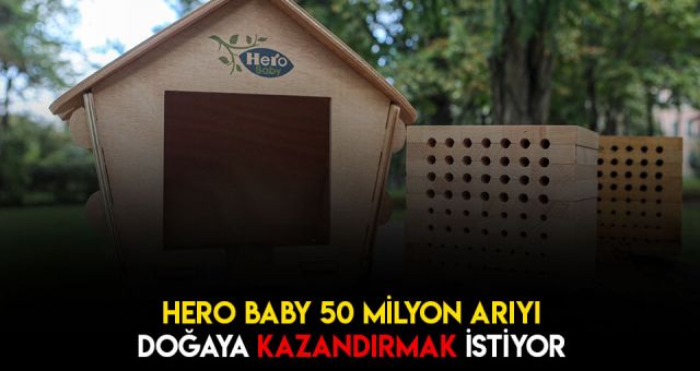 Arılar Doğasına Kavuşuyor