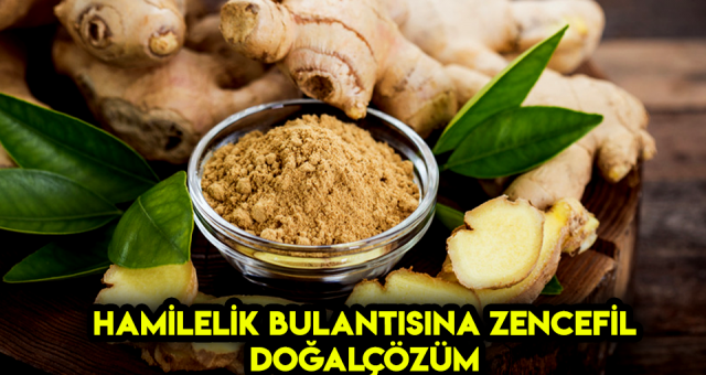 Hamilelikte Bulantı Nöbetlerinede Çözüm Zencefil