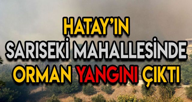 Hatay'da Orman Yangınları Devam Ediyor
