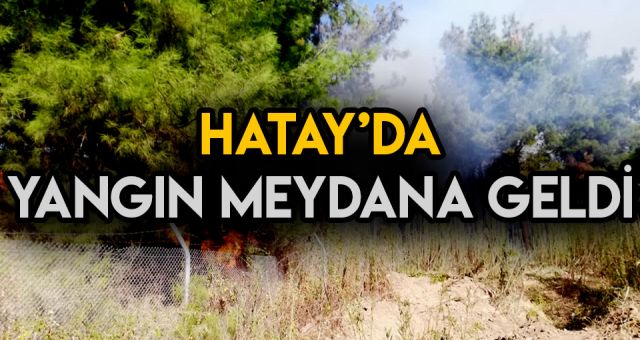 Hatay'ın İskendurun İlçesinde Yangın Meydana Geldi