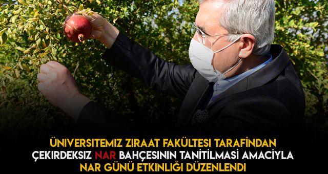 Kahramanmaraş'ın Sütcü İmam Üniversitesinde 'Nar Günü' Etkinliği