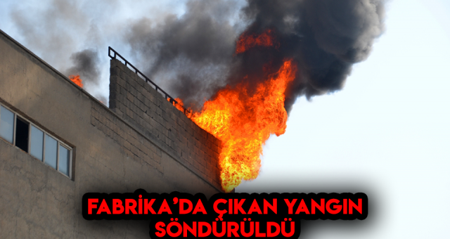 Kahramanmaraş'ta Fabrika'da Yangın