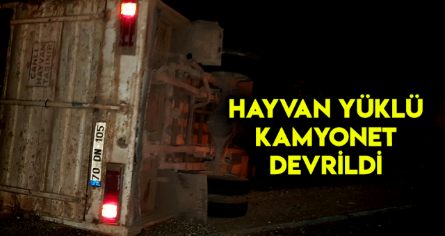 Mersin’de Hayvan Yüklü Kamyonet Devrildi