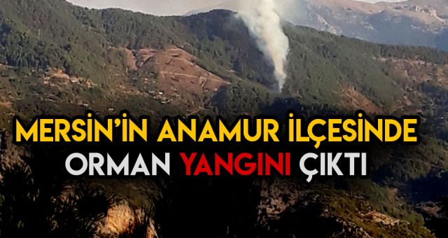 Türkiye'nin Orman Yangın Sorunu Bitmiyor