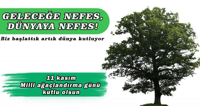 11 Kasım Milli Ağaçlandırma Günü