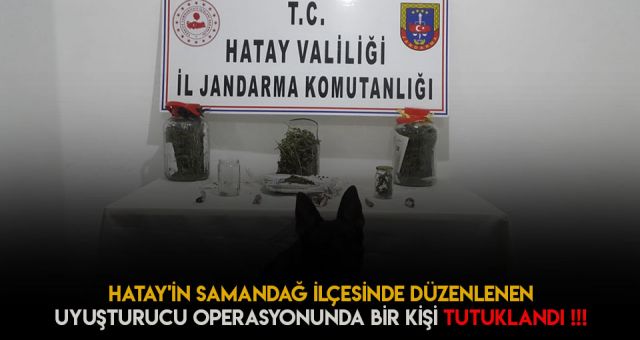 Hatay'da Uyuşturu Operasyonu Düzenlendi