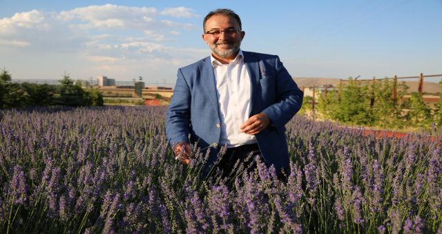 Afşin Lavantası Dünyaya Açılıyor