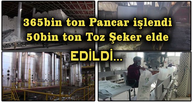 Elbistan'da 50 Bin Ton Toz Şeker Üretildi