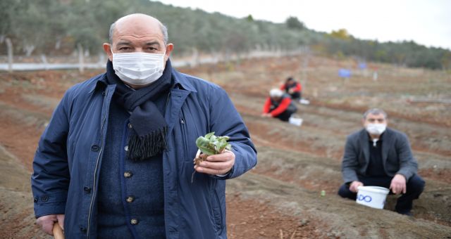 Mado Bölge Çiftçisini İhya Edecek Proje Yaptı