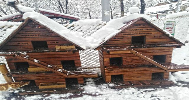 Kahramanmaraş Büyükşehir Belediyesi Onları Unutmadı