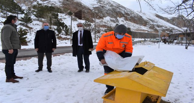 Sivas Belediyesi Sahipsiz Hayvanları Unutmuyor