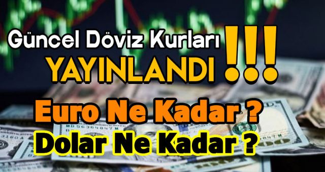 Son Dakika Haberleri : Dolar Kaç TL ? 11 Ocak Güncel Döviz Kurları