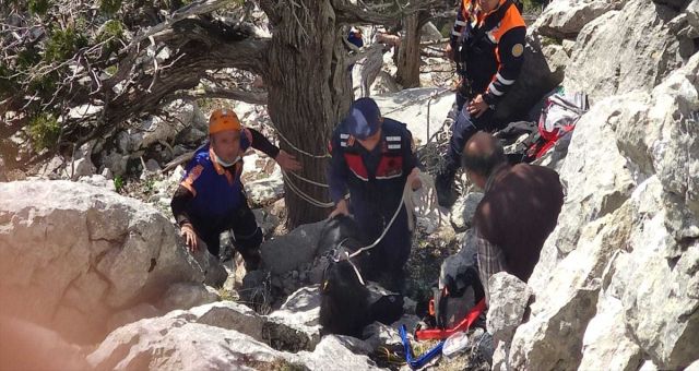 Adana'da Kayalıklardan Dolayı Mahsur Kalan 2 Keçi Kurtarıldı