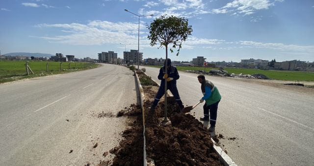 Adıyaman'da Ağaçlandırma Çalışmaları Tam Gaz Devam Ediyor