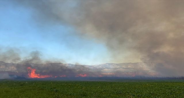 Kaş'ta Çıkan Yangın Seraları Tehtid Ediyor