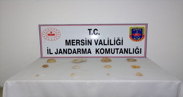 Mersin'de Tarihi Eser Operasyonu