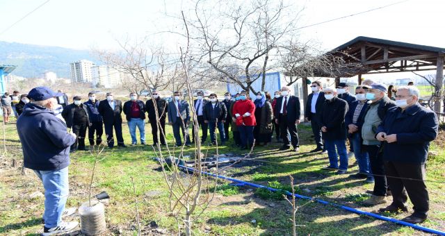 Budama Ve Aşılama Uygulanarak Öğreniliyor