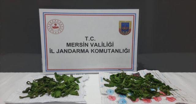 Mersin'de Uyuşturucu Operasyonu Yapıldı