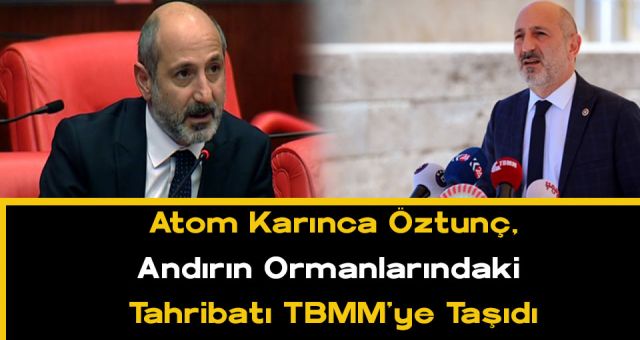 Atom Karınca Öztunç Andırın Ormanlarındaki Tahribatı Kaleme Aldı