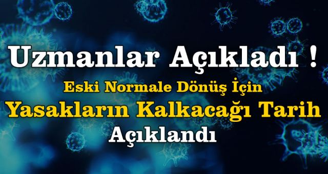 Eski Normale Ne Zaman Dönülebilir ? Uzmanlar Konuştu