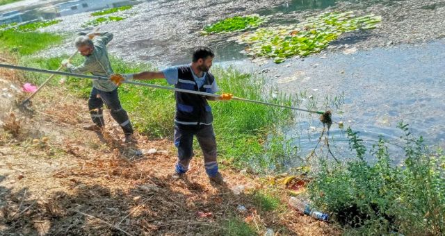 Nilüfer Çiçekleri Atıklardan Kurtarıldı