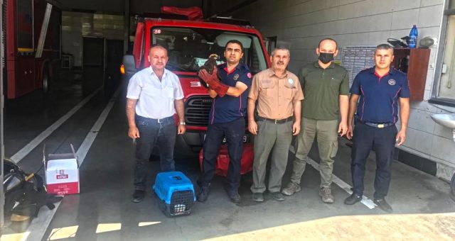 Kahramanmaraş İtfaiye’den Duyarlı Vatandaşa Teşekkür