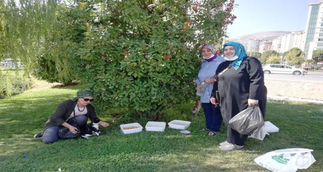 Deva Partisi Sokak Hayvanlarına Mama VE Su Bıraktı