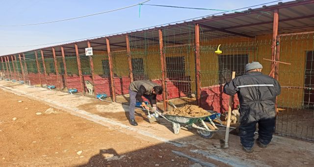 Parklarda Çocuklar, Barınakta Sokak Hayvanları Mutlu Olacak