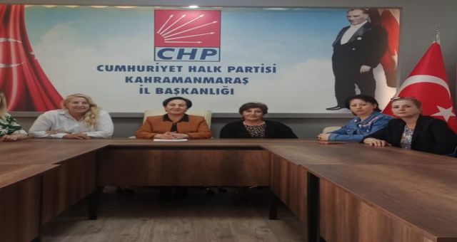 CHP Kadın Kolları'ndan 81 ilde eş zamanlı açıklama