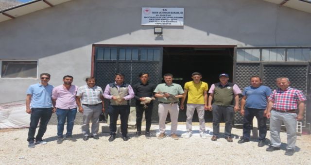 Hibe Desteği İle Faaliyete Geçen Hindi İşletmesi Ziyaret Edildi
