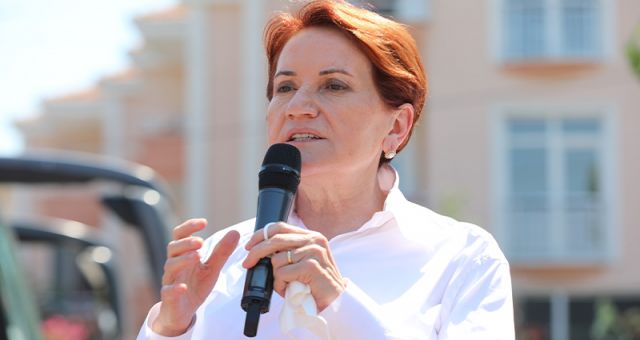 İyi Parti Lideri Akşener'i Sokak Köpeği Isırdı