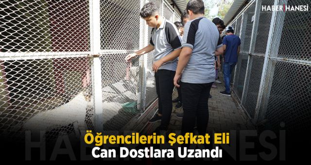 Öğrencilerin Şefkat Eli Can Dostlara Uzandı