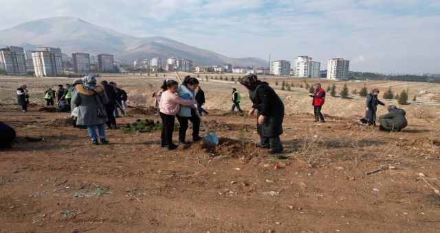 Babalarının Hatırasını, Diktikleri Fidanlarda Yaşatacaklar