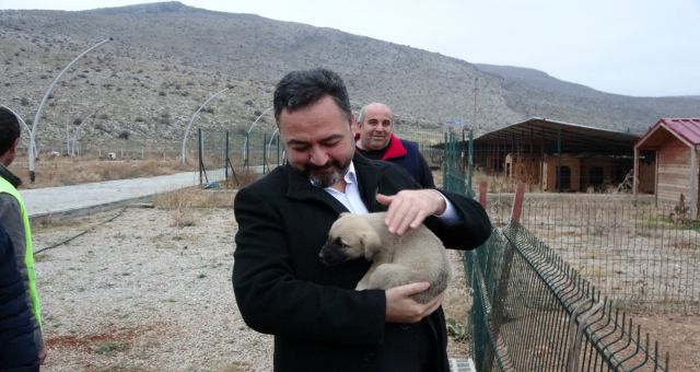 Başkan Gürbüz Hem sokak hayvanları korunacak, hem de insanlarımız