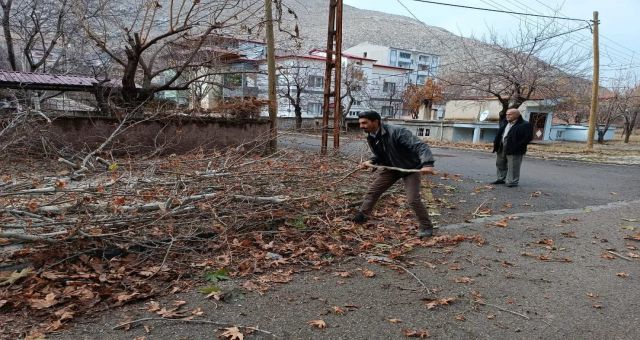 Budanan ağaç dalları, dar gelirli ailelere ulaştırılıyor