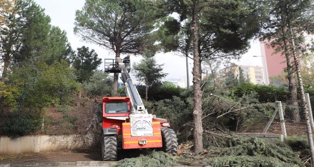 Dulkadiroğlu'nda Park Ve Bahçelerde Kış Hazırlığı