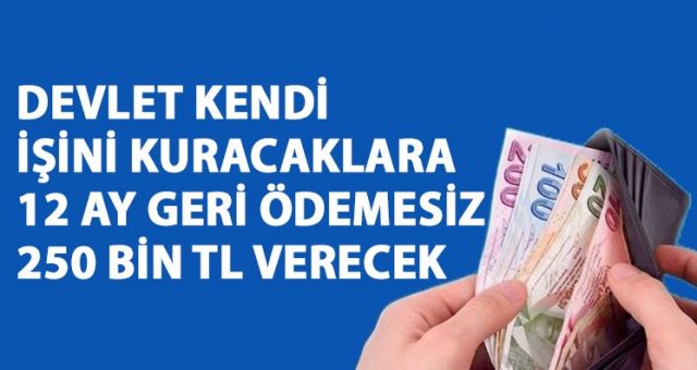 İŞİNİ KURACAKLARA MÜJDE 12 AY GERİ ÖDEMESİZ 250 BİN TL VERİLECEK!