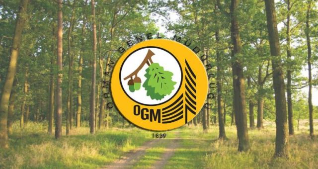 Orman Genel Müdürlüğü 1482 Personel Alım İlanı Yayımladı!