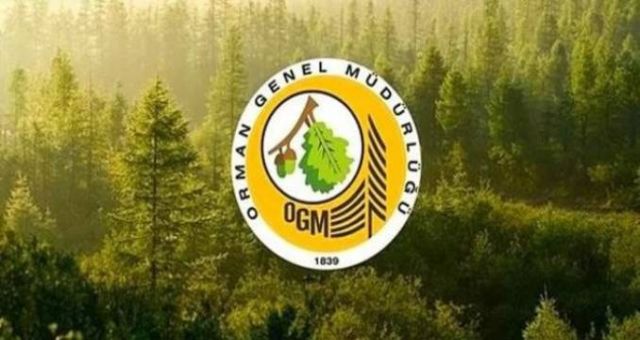 Orman Genel Müdürlüğü 1613 Personel Alım Duyurusu Yayımlandı