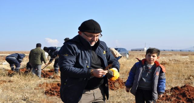 Afşin'de alıç fideleriyle arıcılıkta verimliliğinin artırılması hedefleniyor