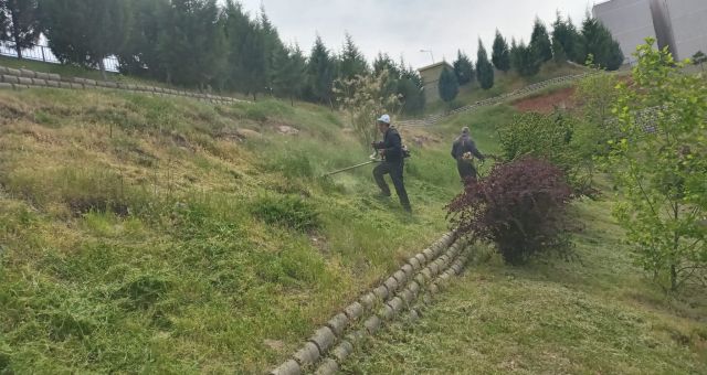Dulkadiroğlu’ndan çevre temizliği