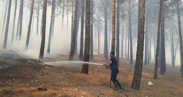 Ahır Dağı’ndaki orman yangını kontrol altına alındı