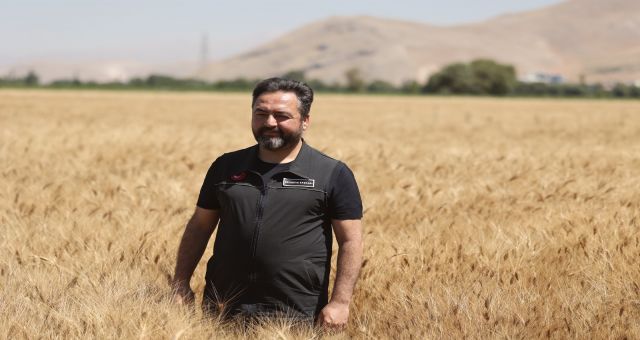 Elbistan Belediyesi tarlada buğday üretip, ücretsiz ekmek dağıtıyor